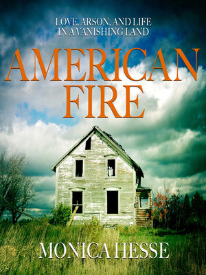 cover image of American Fire